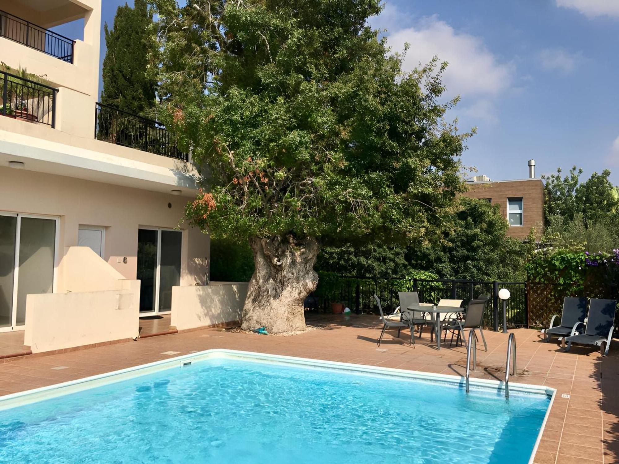 Peaceful Apartment With Double Bed - Oak Breeze Paphos Exteriör bild